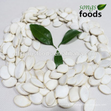 Hochwertige chinesische weiße Kürbiskerne, Großhandel Chia-Samen